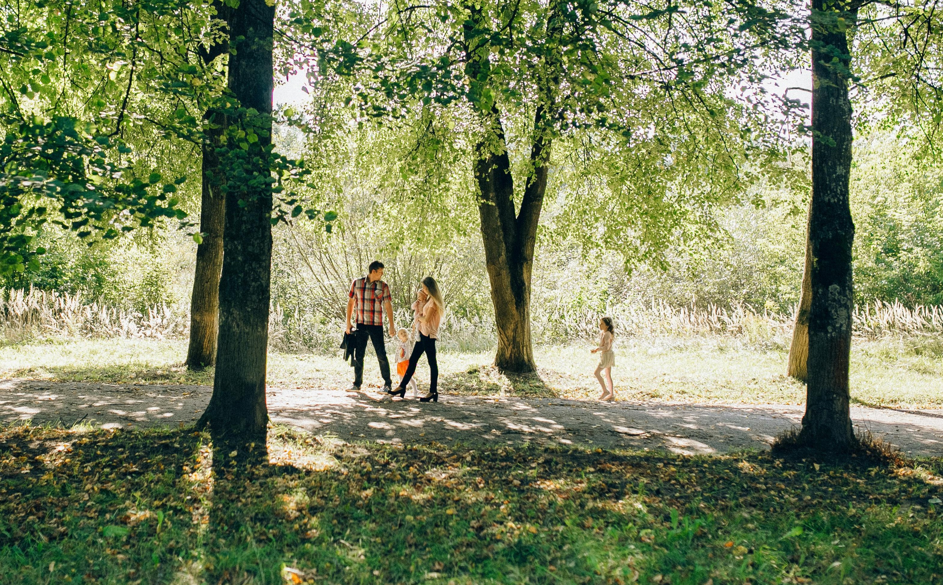 Image of family walking in the woods.